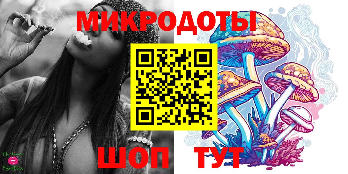 Псилоцибиновые грибы Cubensis Волжск