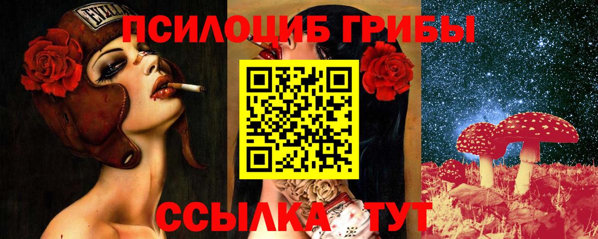 Галлюциногенные грибы ЛСД  Вход с VPN  Волжск  Галлюциногенные грибы GOLDEN TEACHER 